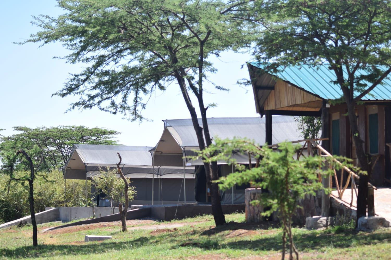 Bed and Breakfast Maasai Mara Safari Camp In Kenya Sekenani Esterno foto
