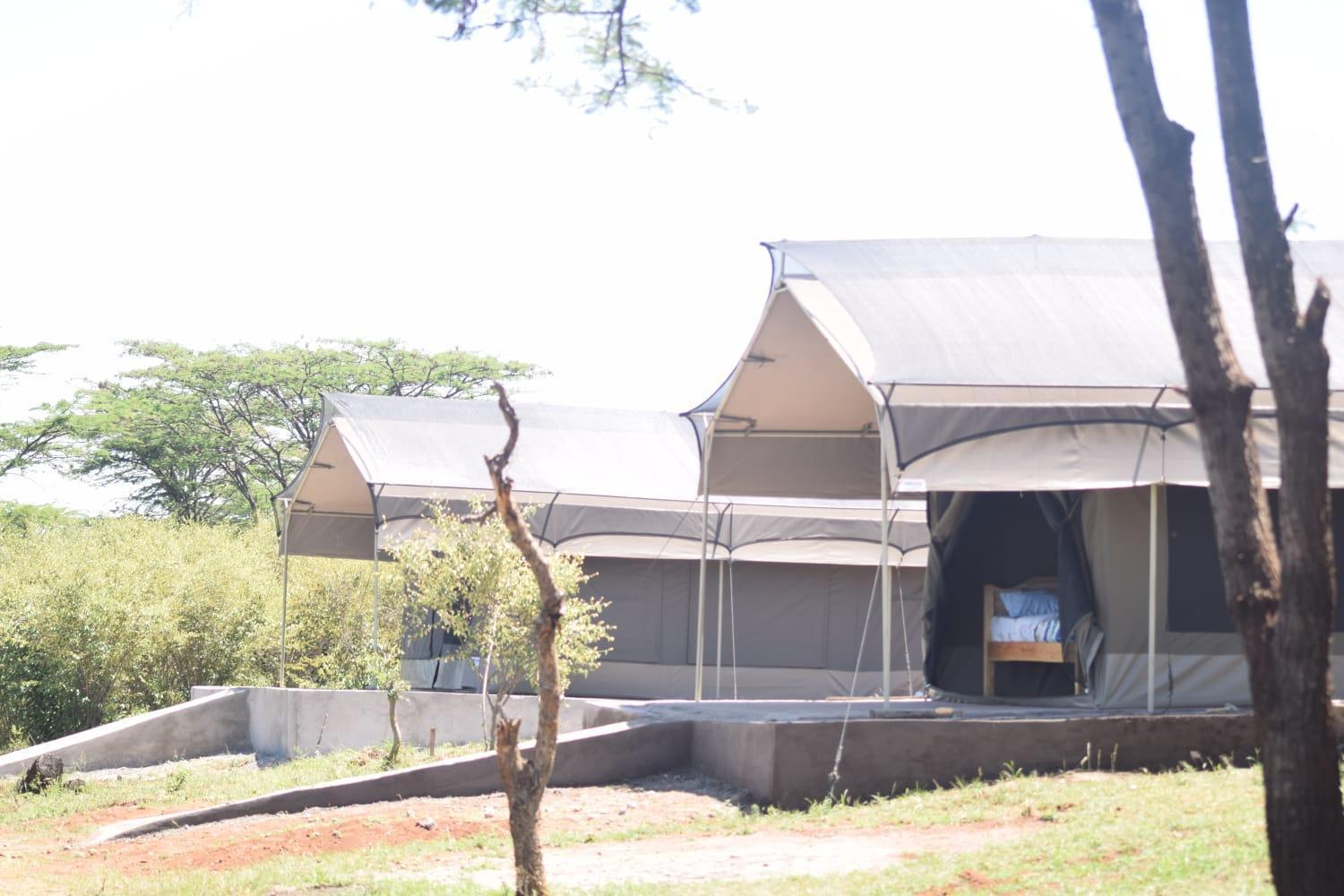 Bed and Breakfast Maasai Mara Safari Camp In Kenya Sekenani Esterno foto